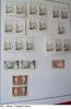 402.faciles.JPG